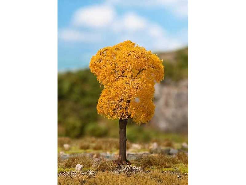 1 PREMIUM Ash, Autumn foliage - image 1