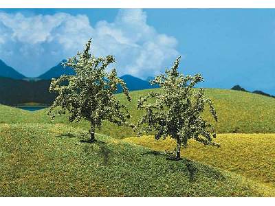 2 PREMIUM Cherry trees - image 1