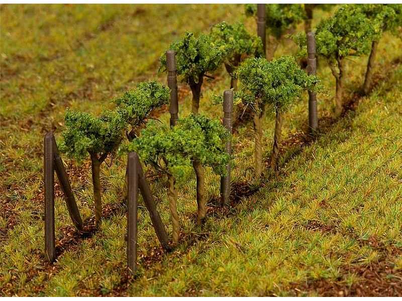 Vines - image 1