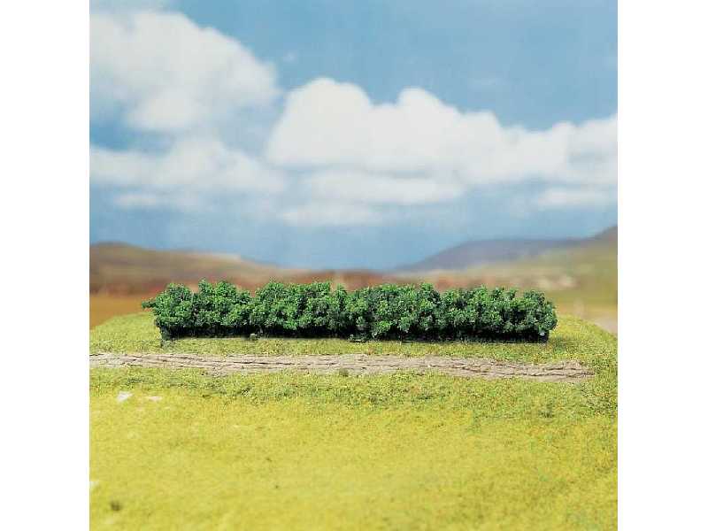 3 PREMIUM Hedges, light green - image 1
