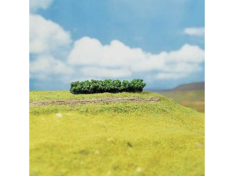 4 PREMIUM Hedges, light green - image 1