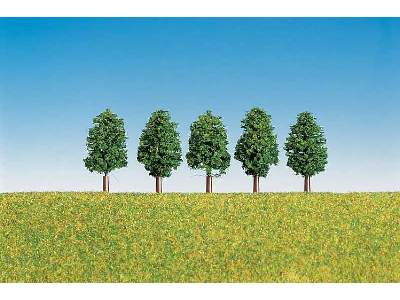 5 Leaf trees - image 1