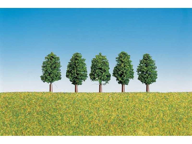 5 Leaf trees - image 1