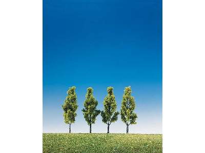 4 Birches - image 1