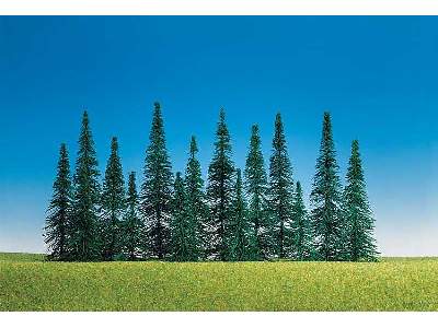 15 Fir trees - image 1