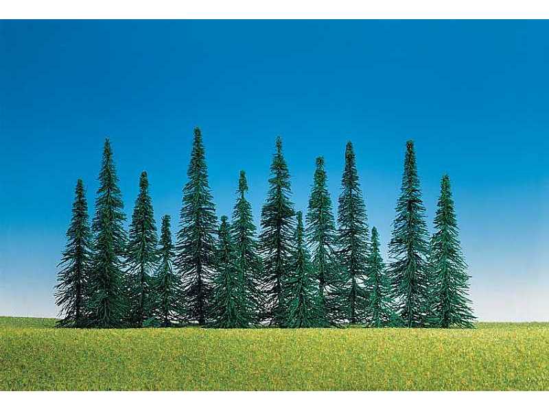 15 Fir trees - image 1