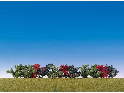 12 Bushes, assortment of various colours - image 1