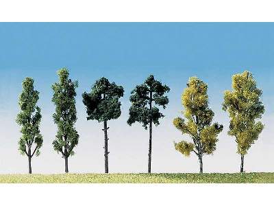 6 Assorted trees - image 1