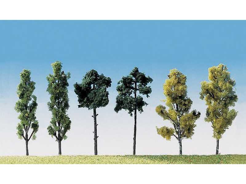 6 Assorted trees - image 1