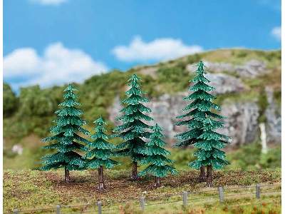 3 Small and 3 large fir trees - image 1