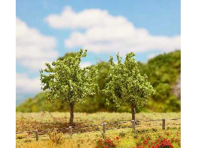 2 PREMIUM Apple trees - image 1