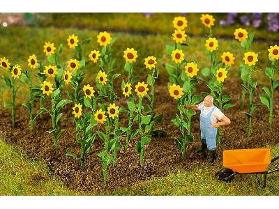 16 Sunflowers - 20 mm - image 1