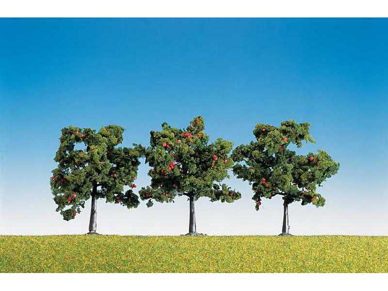 3 Apple trees - image 1