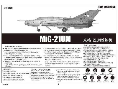 MiG-21UM - image 3