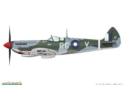 Spitfire Mk. VIII 1/48 - image 15