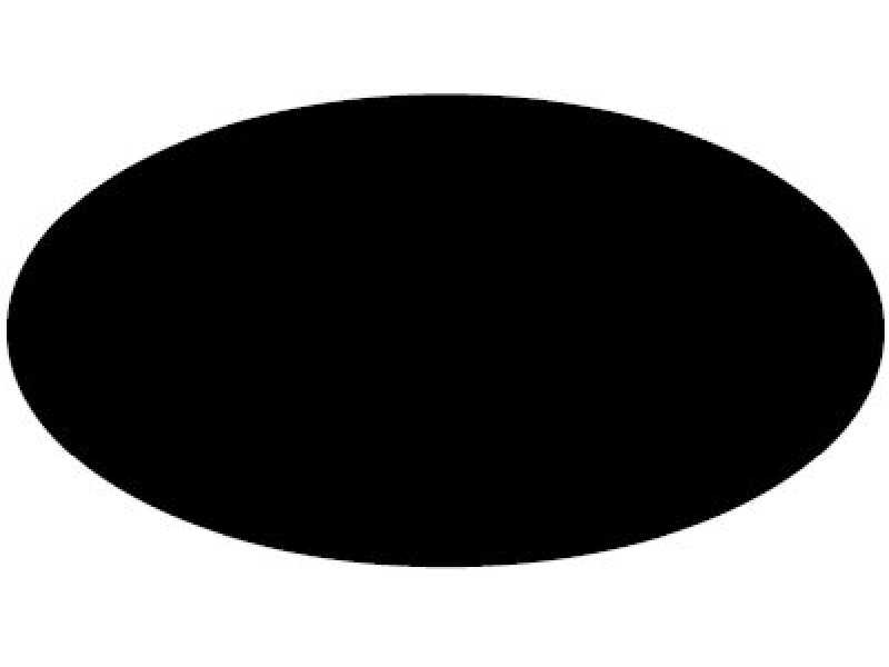 Black (F) Spray  - image 1