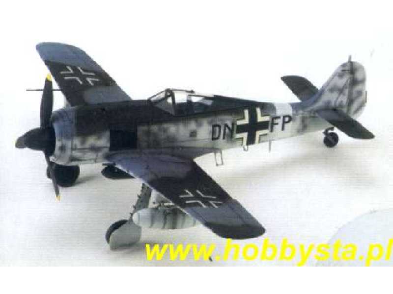 Focke-Wulf 190G-3 Long Range Fighter Bomber - image 1