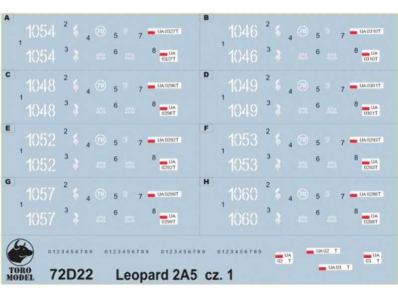 Leopard 2A5 in Polish service vol.1 - image 1