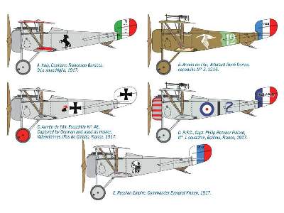 Nieuport 17 - image 5