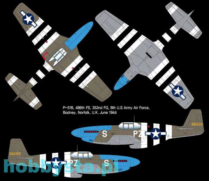Academy 12303 1//48 USAAF P-51B Blue Nose
